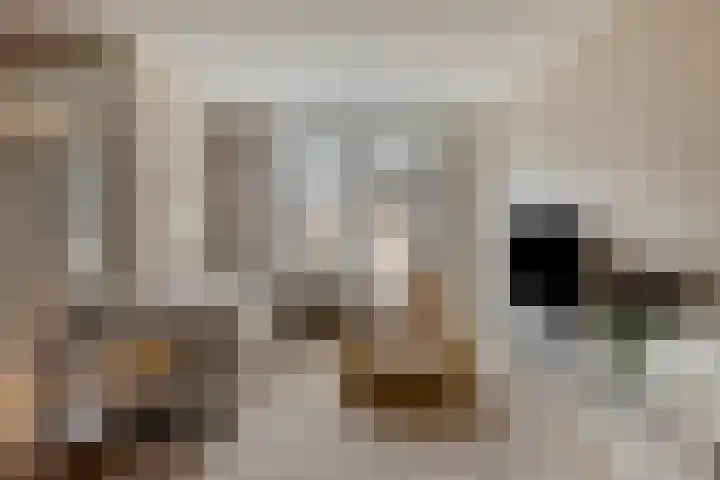Honingeter 4 Dirksland thumbnail 11