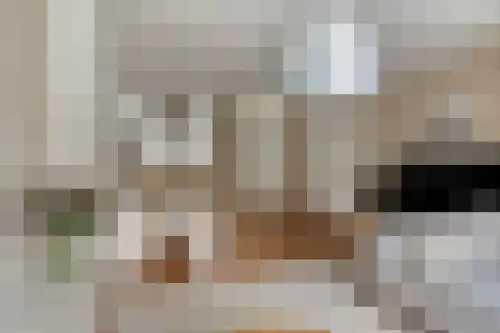 Honingeter 4 Dirksland thumbnail 12
