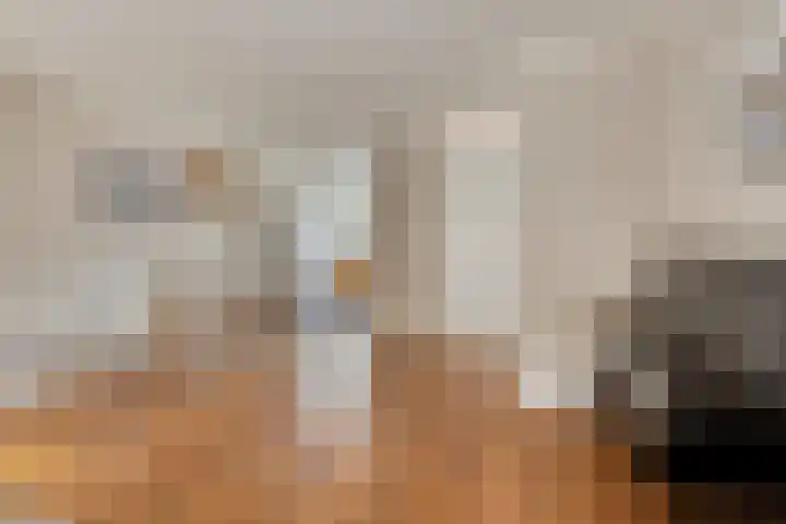 Honingeter 4 Dirksland thumbnail 13