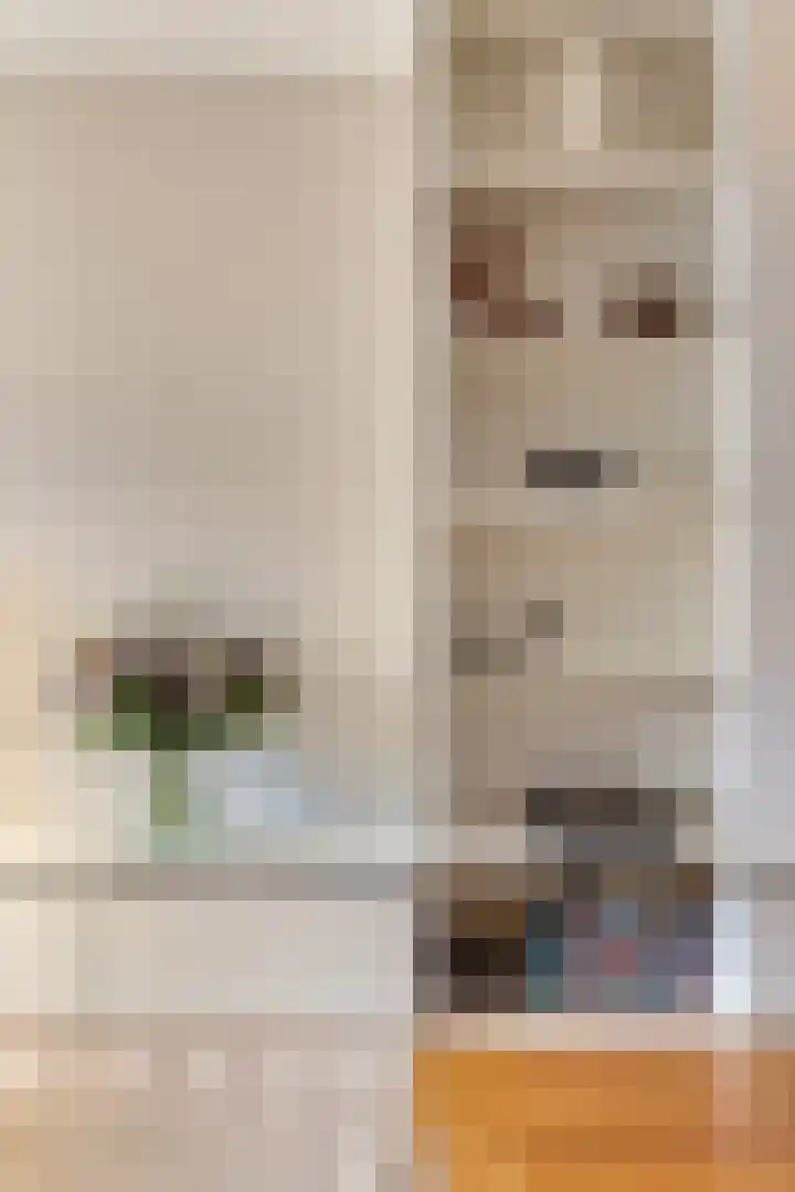 Honingeter 4 Dirksland thumbnail 15