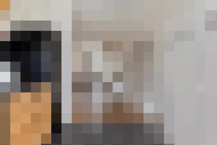 Honingeter 4 Dirksland thumbnail 18