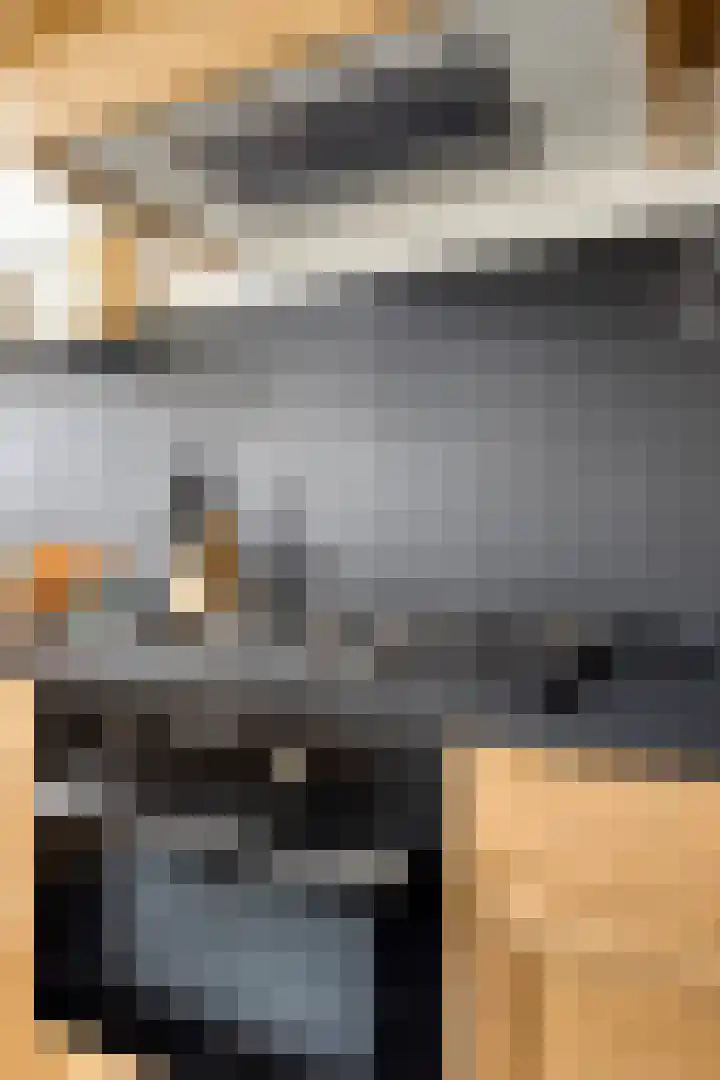 Honingeter 4 Dirksland thumbnail 19