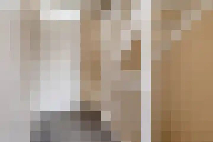 Honingeter 4 Dirksland thumbnail 24