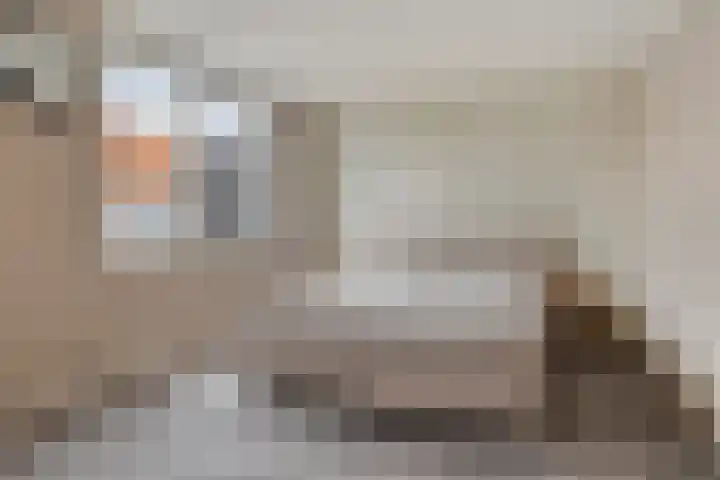 Honingeter 4 Dirksland thumbnail 25