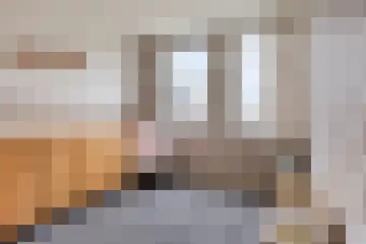 Honingeter 4 Dirksland thumbnail 29