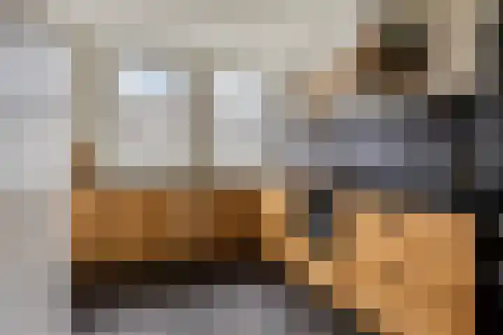 Honingeter 4 Dirksland foto 3