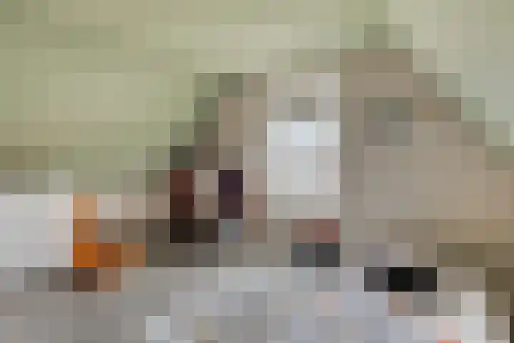 Honingeter 4 Dirksland thumbnail 33