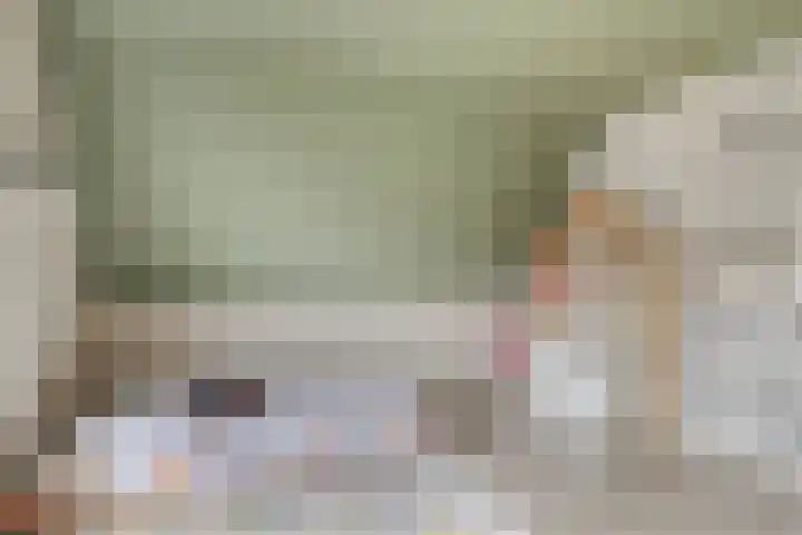 Honingeter 4 Dirksland thumbnail 34