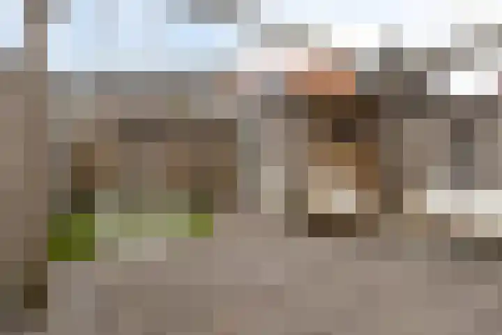 Honingeter 4 Dirksland thumbnail 38
