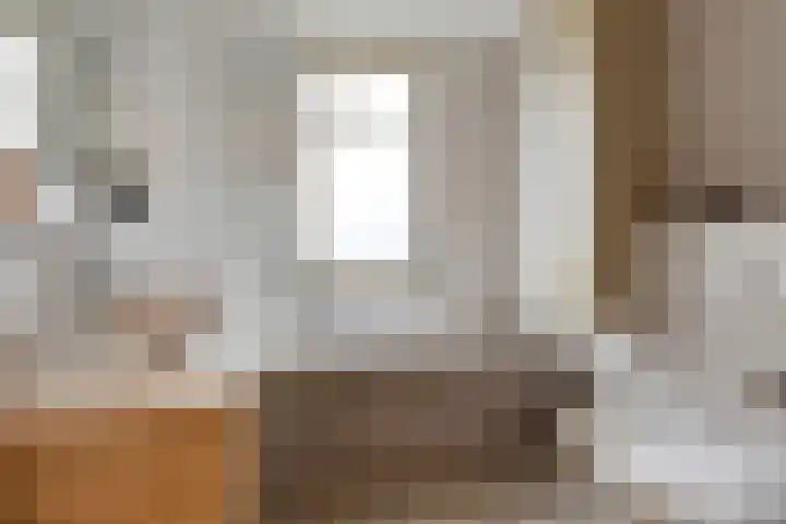 Honingeter 4 Dirksland thumbnail 4