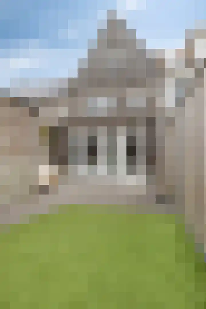 Honingeter 4 Dirksland thumbnail 40