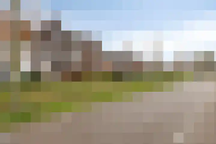 Honingeter 4 Dirksland thumbnail 42