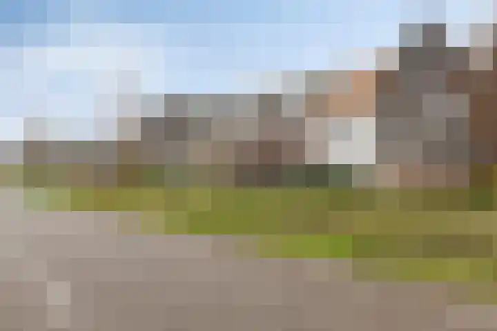 Honingeter 4 Dirksland thumbnail 44