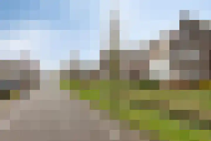 Honingeter 4 Dirksland thumbnail 45