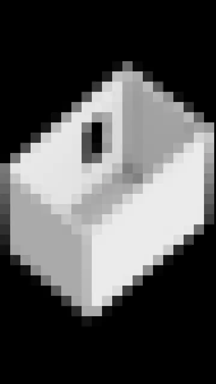 Honingeter 4 Dirksland thumbnail 55