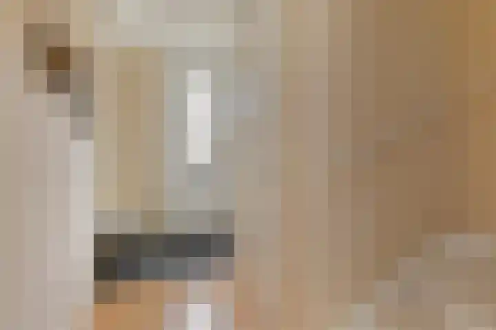 Honingeter 4 Dirksland thumbnail 6
