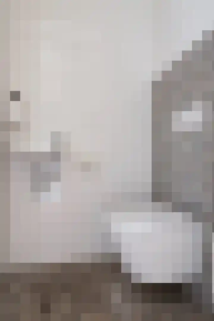 Honingeter 4 Dirksland thumbnail 8