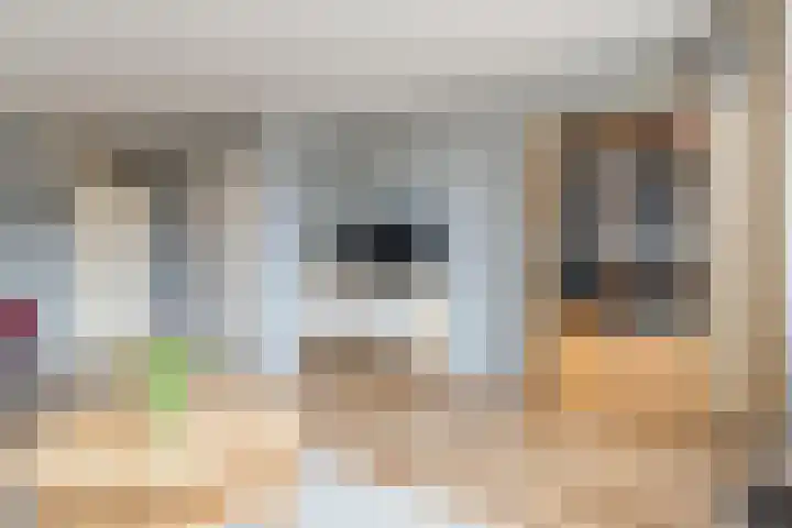 Honingklaver 1 Culemborg thumbnail 10