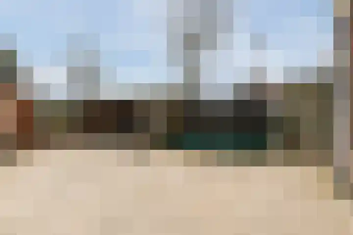 Honingklaver 1 Culemborg thumbnail 27