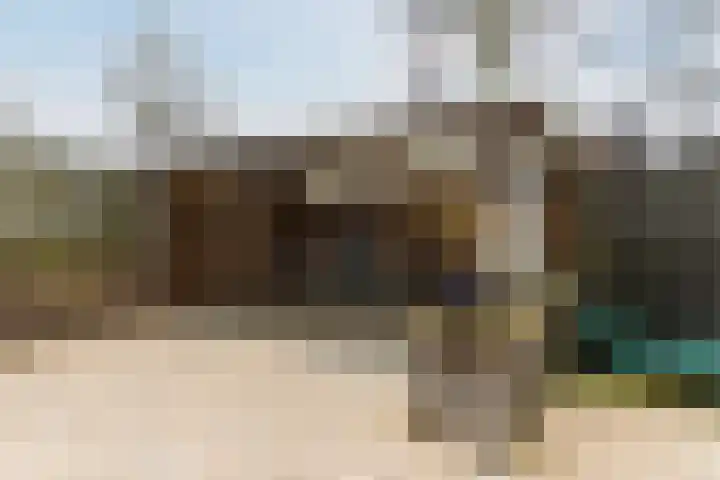 Honingklaver 1 Culemborg thumbnail 28