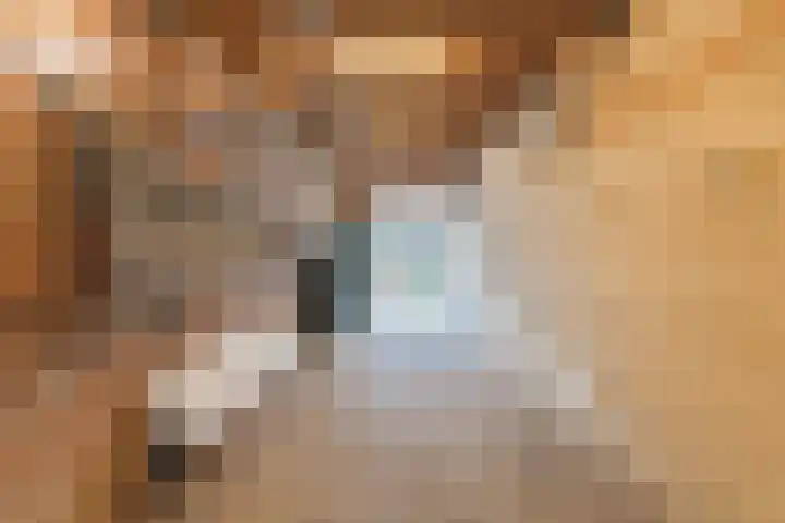 Honingklaver 1 Culemborg thumbnail 30