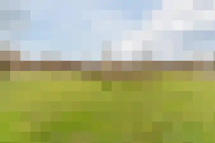 Honingklaver 1 Culemborg thumbnail 34