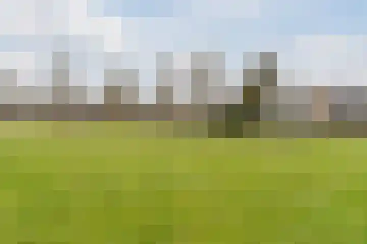 Honingklaver 1 Culemborg thumbnail 35