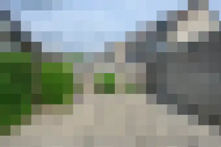 Honingraat 27 Eerbeek thumbnail 17