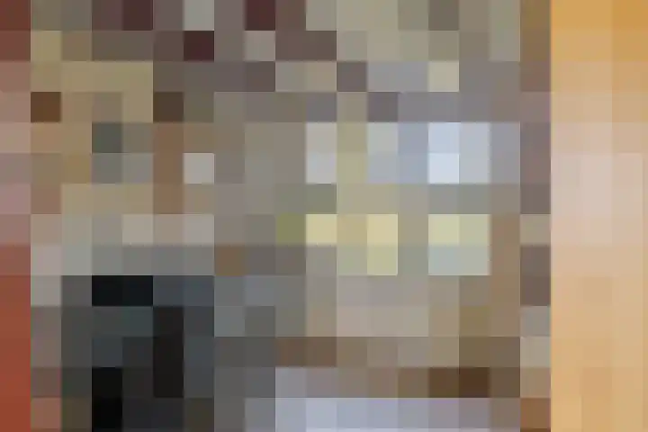 Honkerbosweg 4 De Heurne thumbnail 19