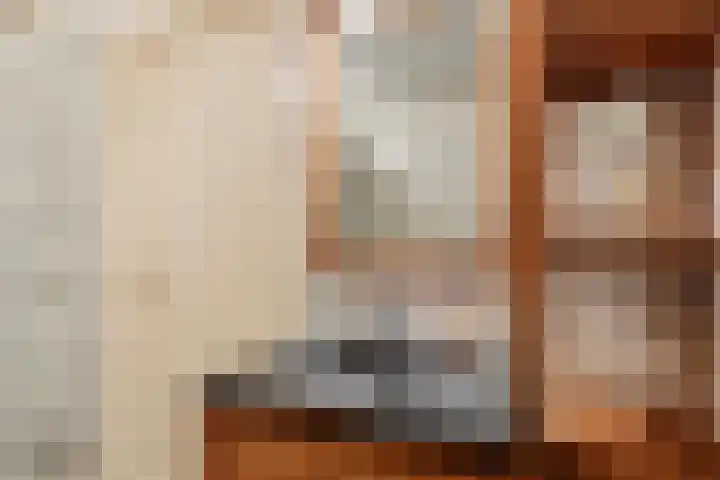 Honkerbosweg 4 De Heurne thumbnail 28