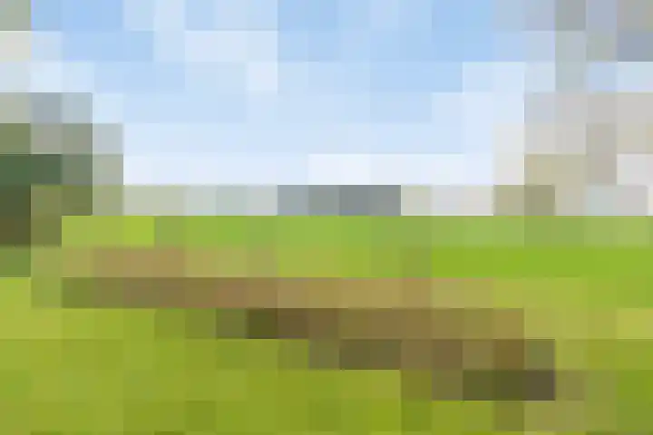 Honkerbosweg 4 De Heurne thumbnail 35