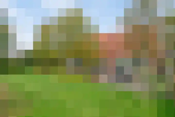 Honkerbosweg 4 De Heurne thumbnail 36