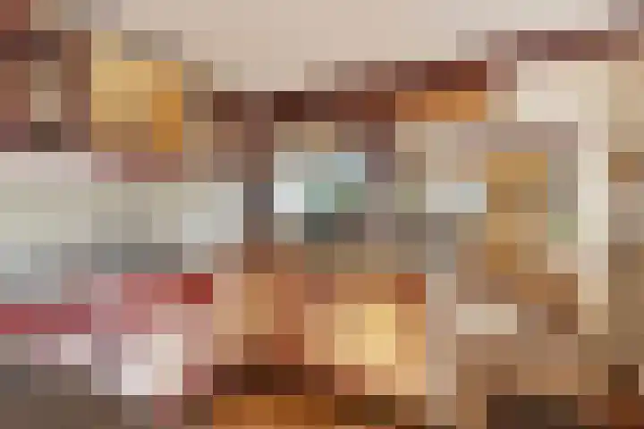 Honkerbosweg 4 De Heurne thumbnail 4