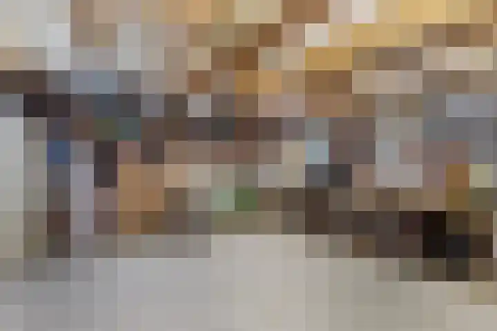Honkerbosweg 4 De Heurne thumbnail 41
