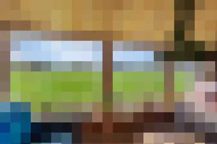 Honkerbosweg 4 De Heurne thumbnail 43