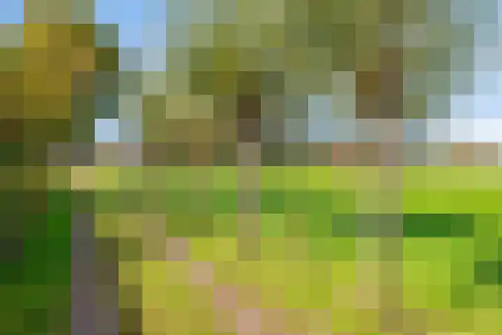 Honkerbosweg 4 De Heurne thumbnail 47