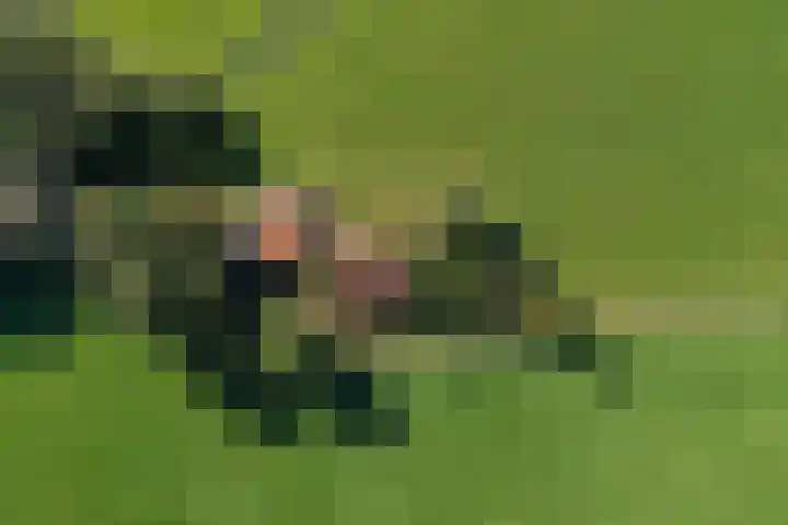Honkerbosweg 4 De Heurne thumbnail 50