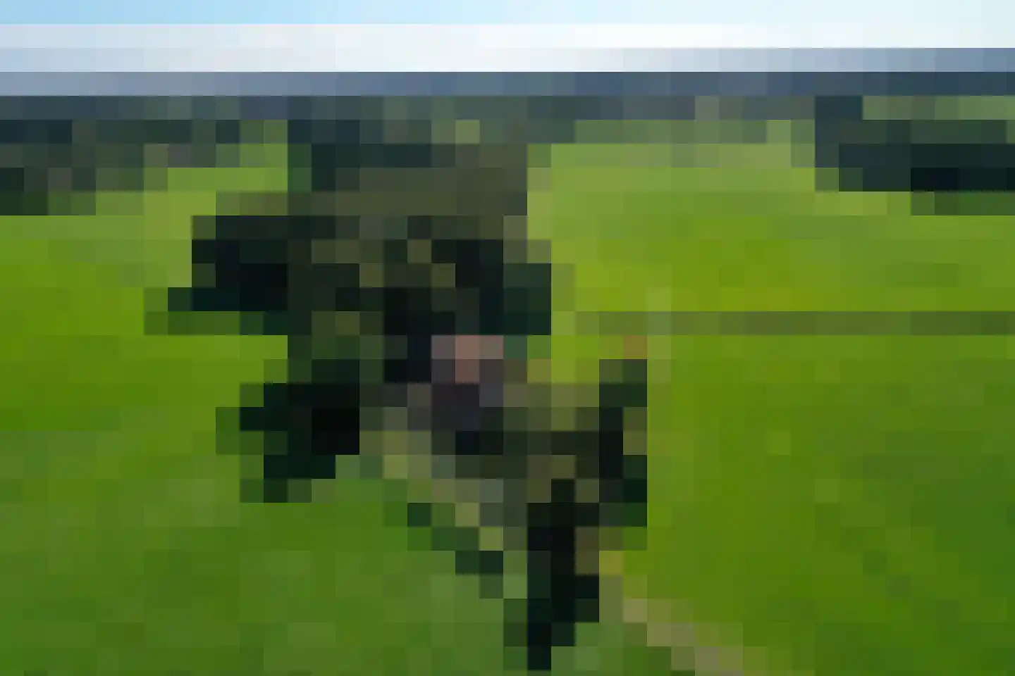 Honkerbosweg 4 De Heurne thumbnail 57