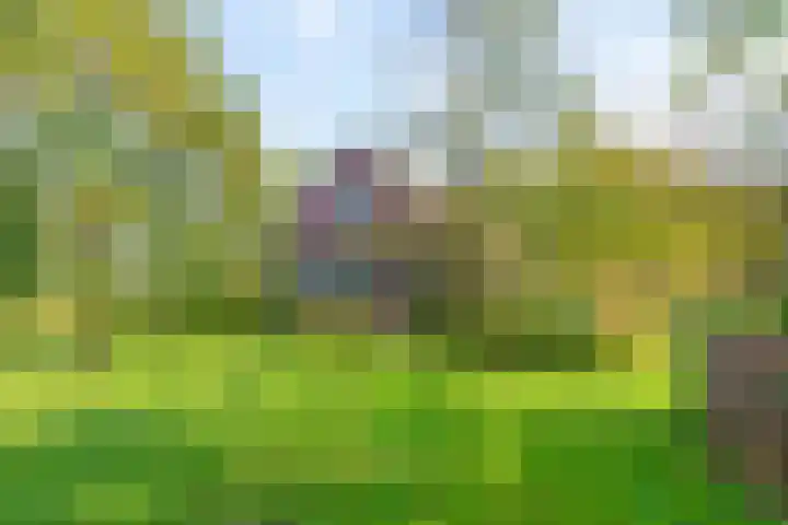 Honkerbosweg 4 De Heurne thumbnail 7