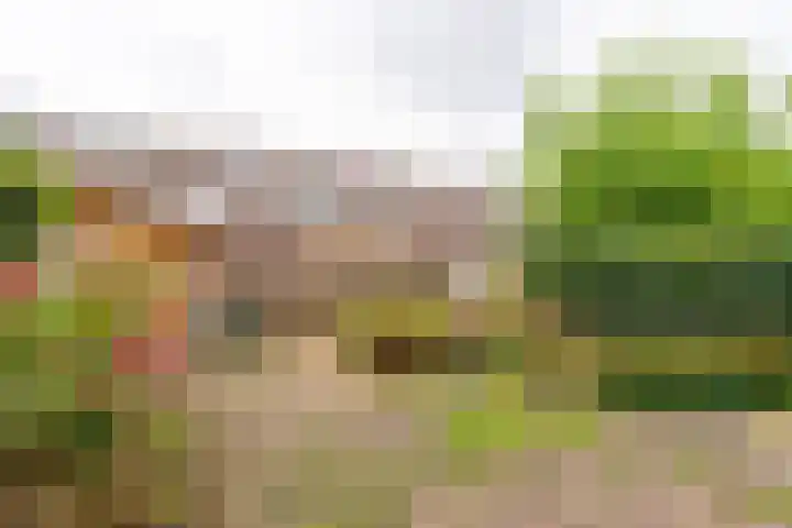 Honswijkpolder 36 De Meern thumbnail 25