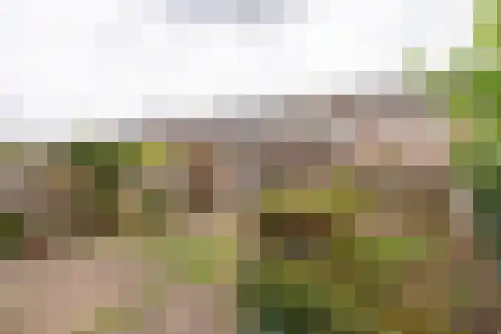 Honswijkpolder 36 De Meern thumbnail 26