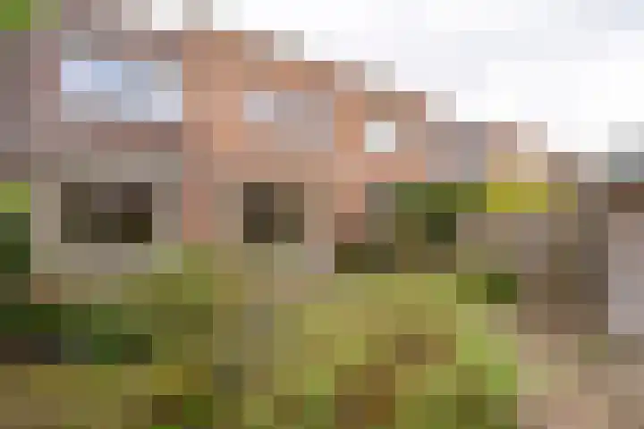 Honswijkpolder 36 De Meern thumbnail 29