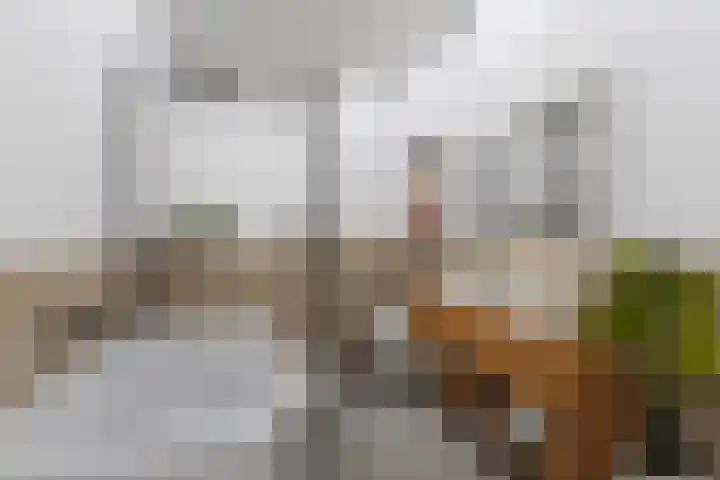 Honswijkpolder 36 De Meern thumbnail 41