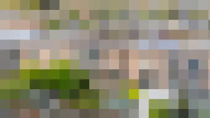 Honswijkpolder 36 De Meern thumbnail 48