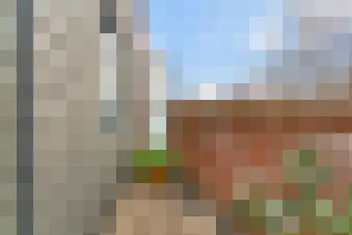 Honswijkpolder 39 De Meern thumbnail 26
