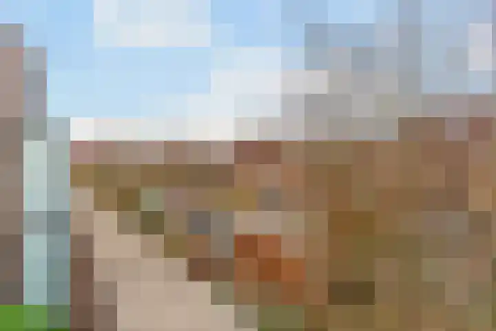 Honswijkpolder 39 De Meern thumbnail 27