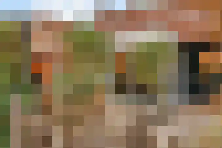 Honswijkpolder 39 De Meern thumbnail 36