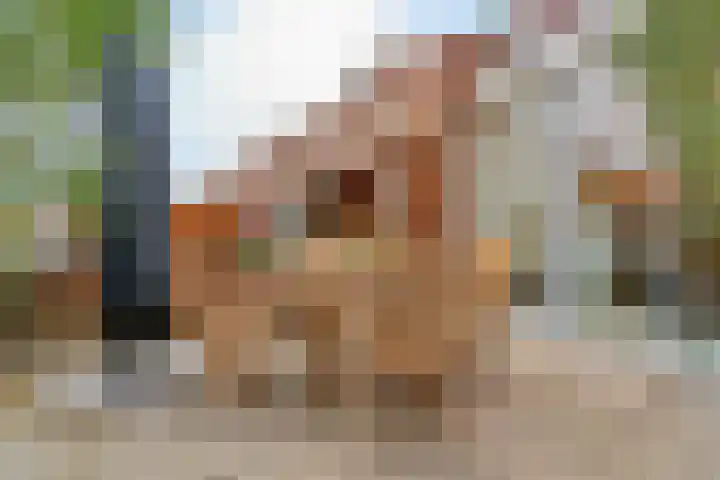 Honswijkpolder 39 De Meern thumbnail 38