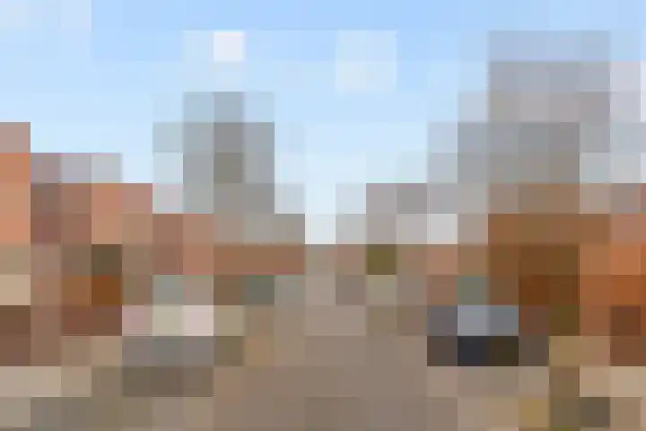 Honswijkpolder 39 De Meern thumbnail 43