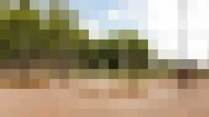 Honswijkpolder 39 De Meern thumbnail 45